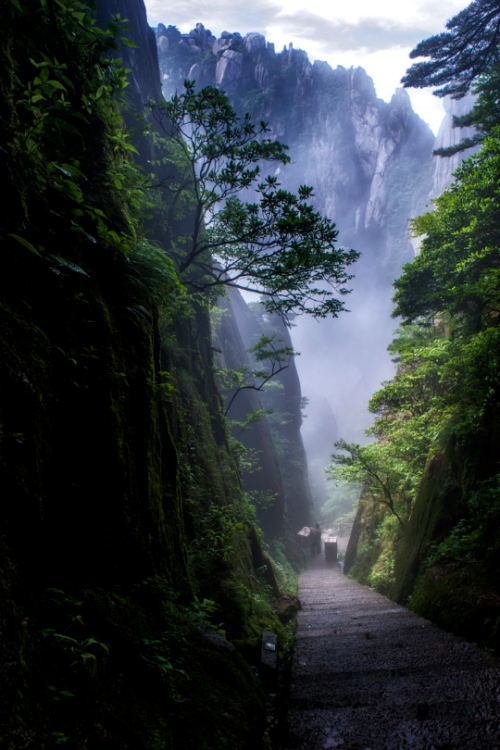 tulipnight:hiking man by 杨 昊天