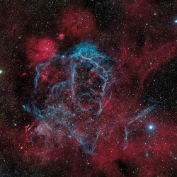 spaceexp:  Vela Supernova Remnant via reddit