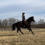 khal-eventing