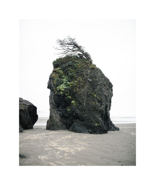 Quinault Tribal BeachPhotos By: Kiabad Meza