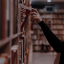 library-love-affair