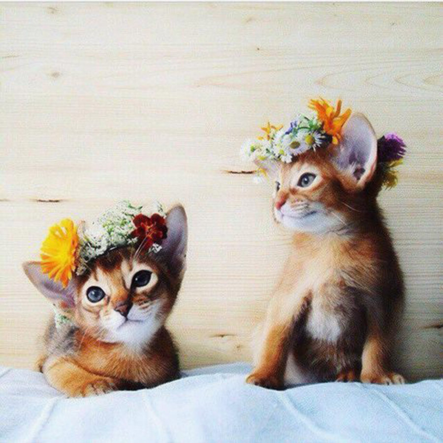 So cute!