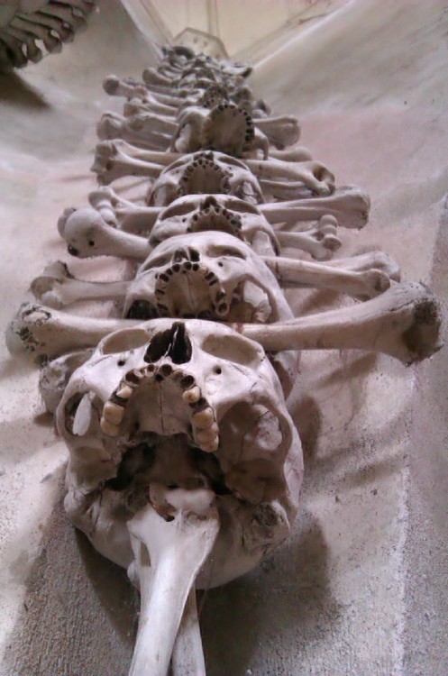 doomnomad:Sedlice Ossuary, Kutna Hora.(July 2012)