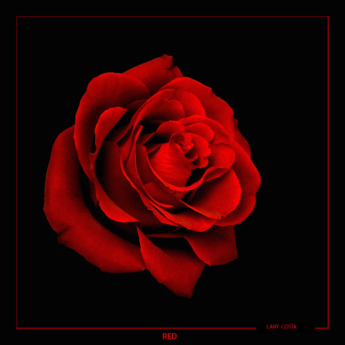 ❀Ms-V-Rose❀