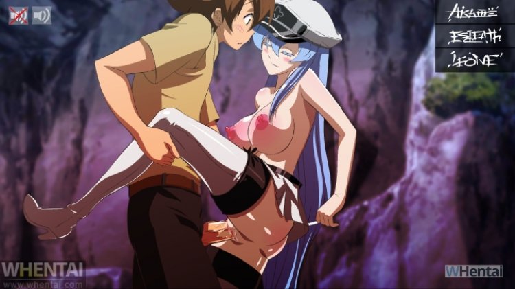 xxxfantasykingdomxxx:  Akame ga kill hentai requested by @black231dragon 
