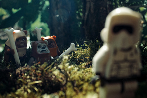 brain-food:  Star Wars LEGO Photography by Avanaut