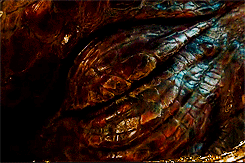 thorinthesassmaster:lotr + the hobbit- things that shine