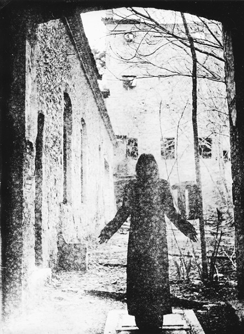 strangebirdseyes:  In memory of truth(Lith print)