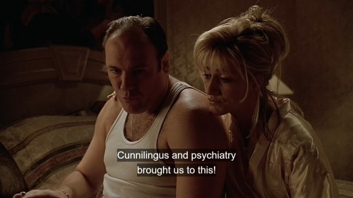 magicalflowerlight:  The Sopranos〡S1E13