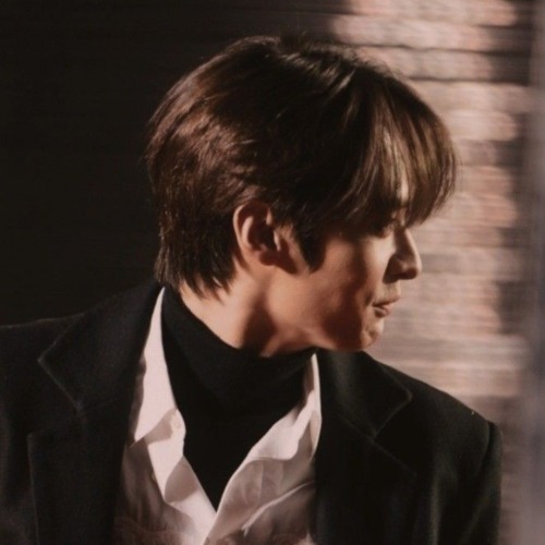 Lee Know Dark Academia Moodboard