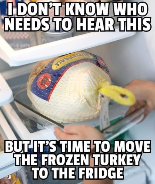 naomiknight-17:  its-thenarrator:  lchupanibre: Not if you spatchcock it    Buddy if you can show me how to spatchcock a rock solid frozen turkey without a damn chainsaw I will eat my culinary school diploma