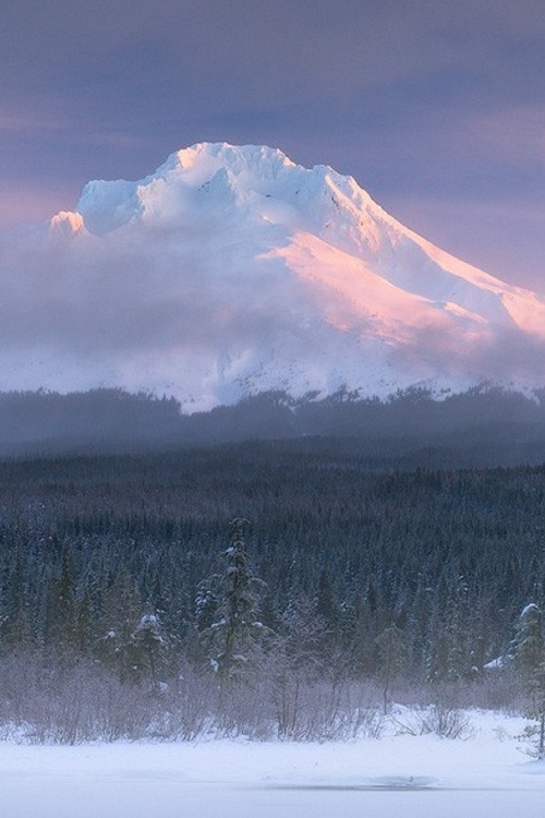 sublim-ature:Mt. Hood, OregonJustin Poe