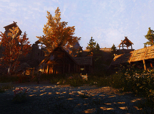 xec:  SKYRIM SCENERY Whiterun Stables