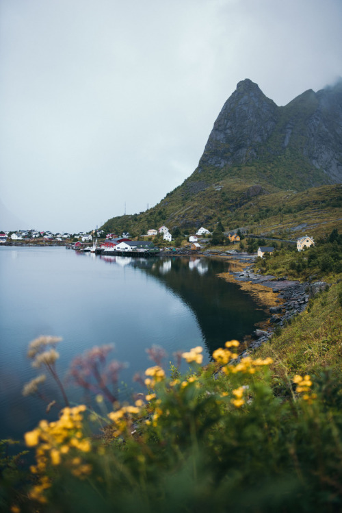 teapalm:(Tasha Marie) | Lofoten Islandsprints | instagram | behance