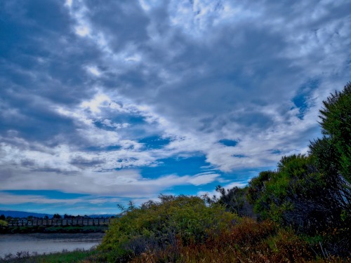 baylands landscape with cloudsPlease leave captions &amp; credits intact and don’t reblog to NSFW/18