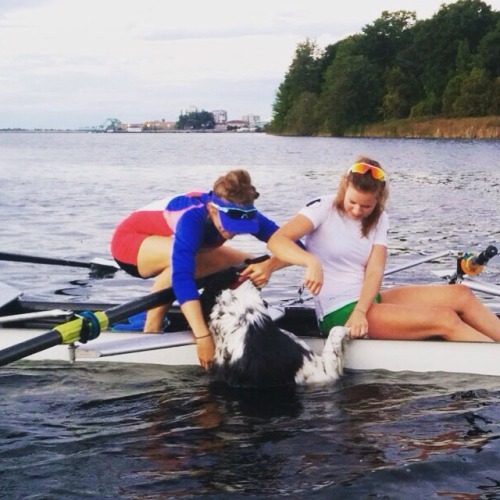 Today the boathouse dog decided to row with me Instagram: @ littlebigrower