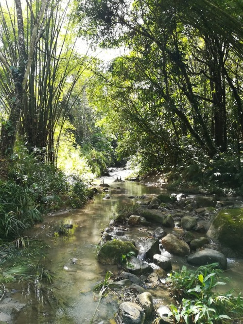 Minca - Colombia