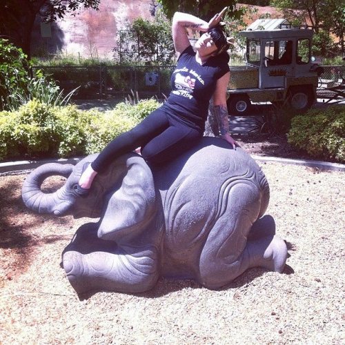 Sex Fallen Angel plays on an elephant pictures