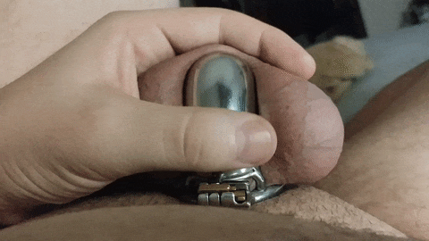 lockedboi:  domtopsir:  There you go! Now you can’t even see your little clit anymore! Now you