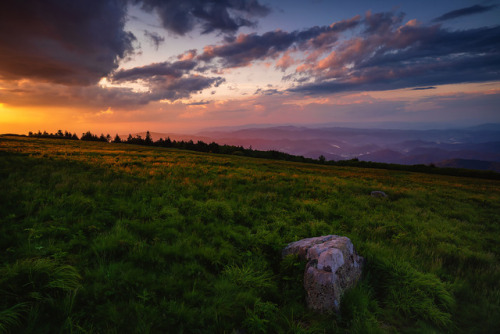 te5seract: The Dark Side Of The Bald &amp; Scattered Light by Travis Rhoads