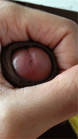 iluv2freeball:  topcbt:  Follow Top for Subs at http://topcbt.tumblr.com/  http://iluv2freeball.tumblr.com/
