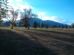 justpretend:  ileftmyheartinwesteros:  justpretend:  ileftmyheartinwesteros:  ileftmyheartinwesteros:  I convinced Nick to go to the dog park with me tonight ^.^ Juvia and I were happy as clams that he came with us, and we all had a lot of fun. People