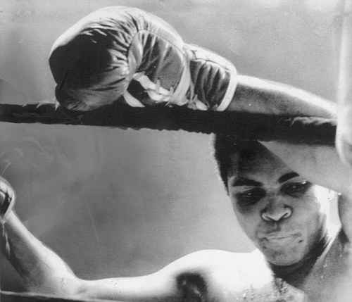 boxingsgreatest:  “Only a man who knows what it is like to be defeated can reach down to the bottom of his soul and come up with the extra ounce of power it takes to win when the match is even.”  - Muhammad Ali 