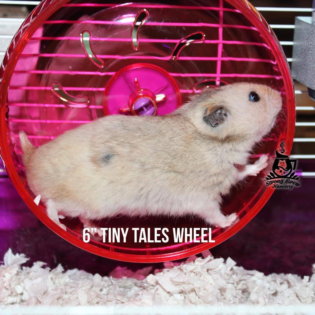 Strong Brew Hamstery Strong Brew Hamstery