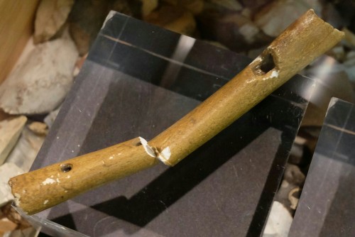 Prehistoric artefacts from the Craven Museum, Skipton. Items include an Iron Age Celtic Head (a wate