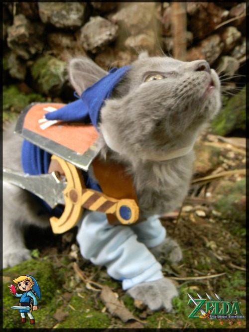 caterville:Link CatsToday’s theme: Gamer Cats. 