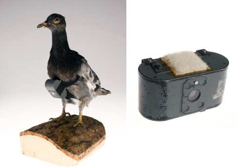 A camera small and light enough to be carried by a pigeon. (Courtesy of the CIA)