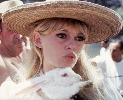 missbrigittebardot:Brigitte Bardot during the filming of “Viva Maria”, 1965