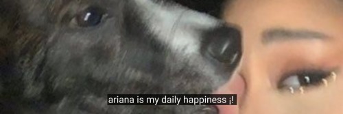 Ariana Grande Messy Headers 🧺