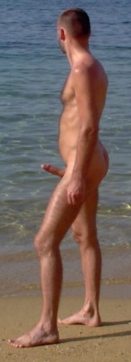 19830915public:  i wanna erection in beach