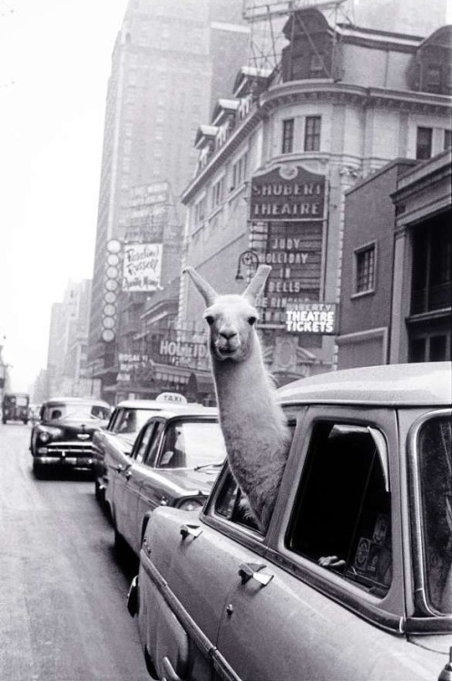 XXX Inge Morath - Encounter on Times Square, photo