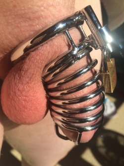 lockedgayboy:  Locked up again and enjoying