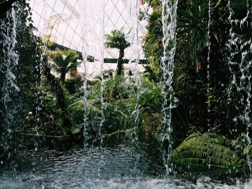 venetians:cloud dome @ singapore’s gardens by the bayadmission was fairly reasonable and I rec