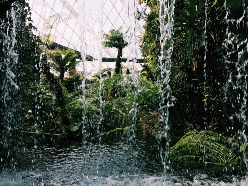 venetians:cloud dome @ singapore’s gardens by the bayadmission was fairly reasonable and I rec