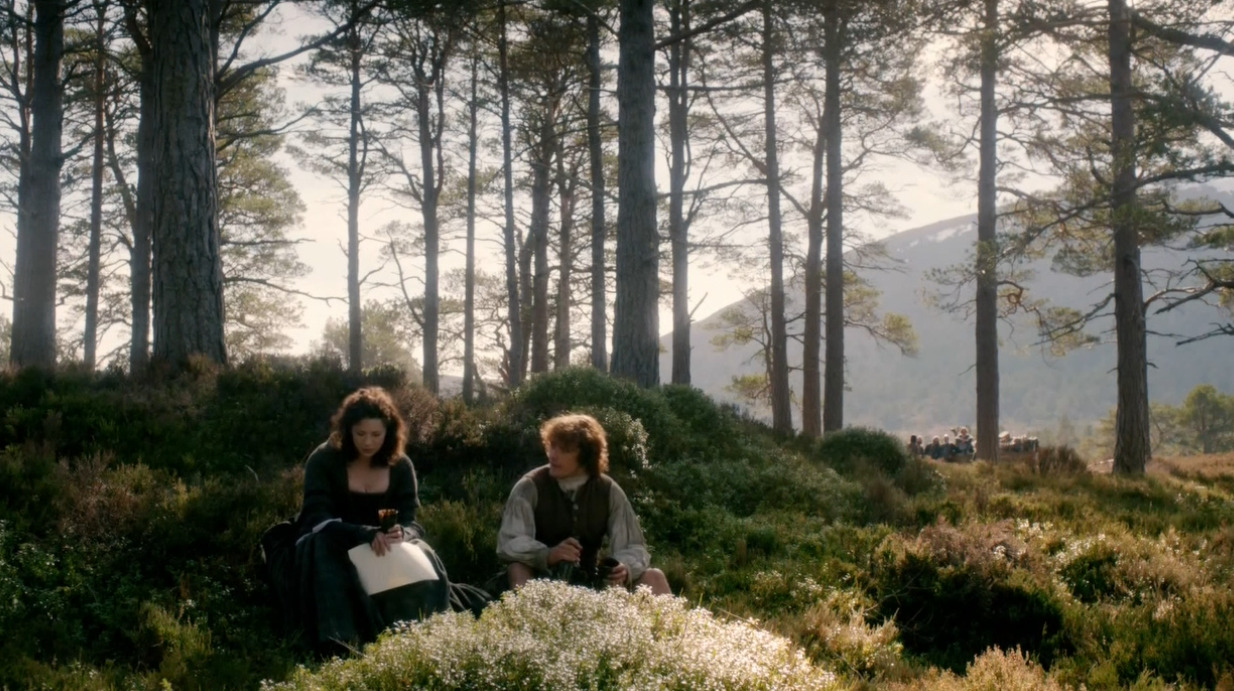 diana-gabaldon:  Claire and Jamie. Discussions of marriage and virginity. 