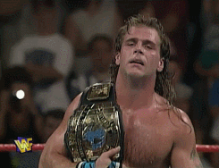 wrestlingchampions: In 16 Intercontinental Championship Ladder matches, the results