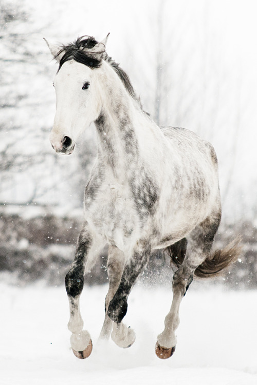 redhead-lass: Winter 5 by ~paula2206-photo