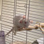 cantreadbutcute