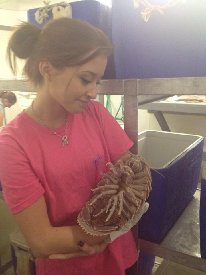 flygex-eatin-on-softies:  what a sweet little baby, she must be so proud! 