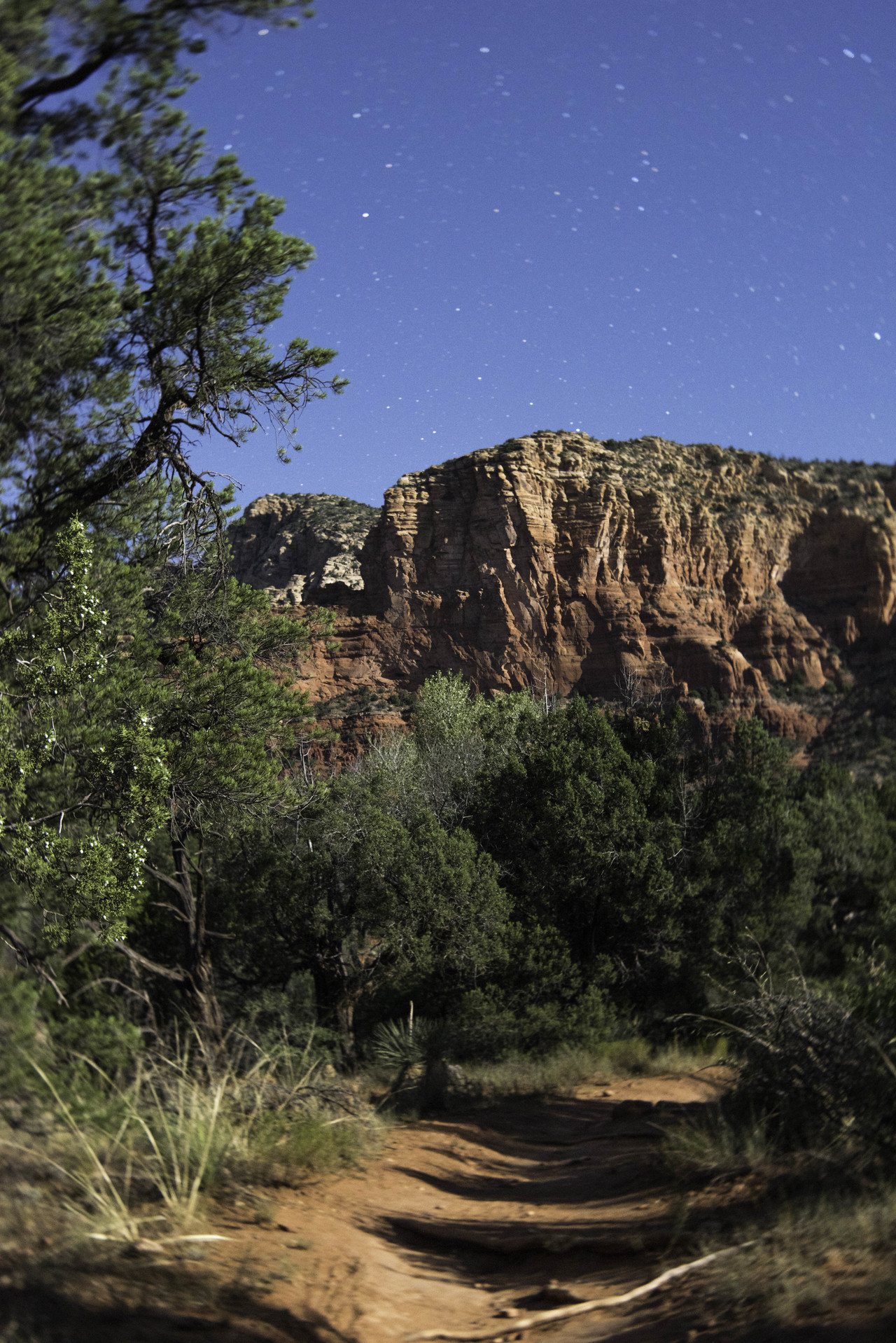 sedonajohn:Courthouse loop trail, Sedona, Az.