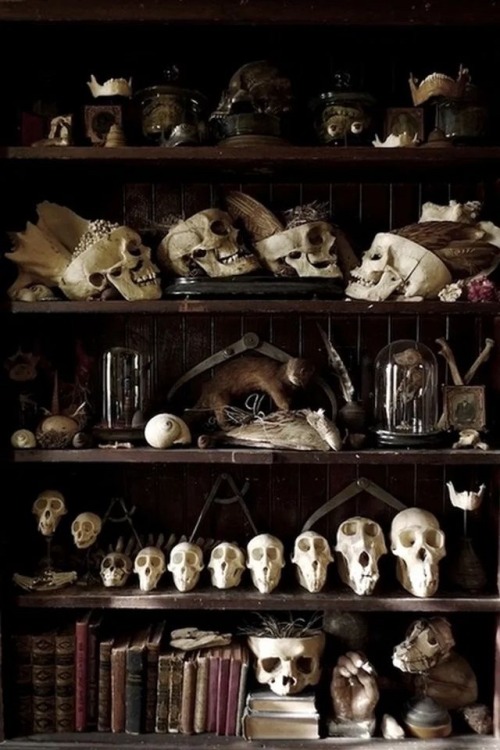 Happy Samhain