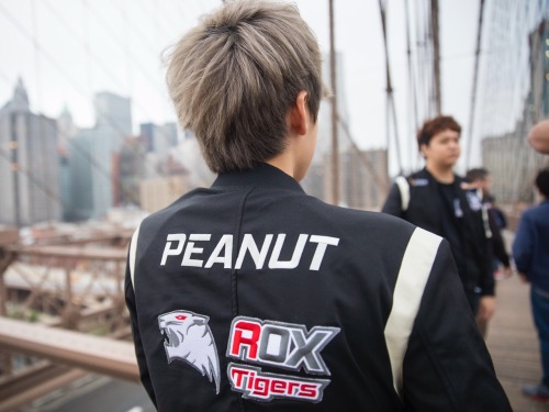 theelleee:Come on TIGERS !!!!!!!! Smash them