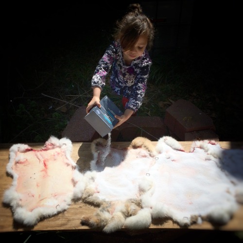 southern4perspective:  Rabbit harvest. March 22nd 2016 Atlanta, Ga.  I am very proud of my daughter. Today she help me harvest our rabbits from start to finish. She’s witnessed it plenty of times but this is the first time she had hands on experience.