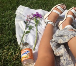 buzzflower:  Snippets from yesterday’s 6 mile bike ride 