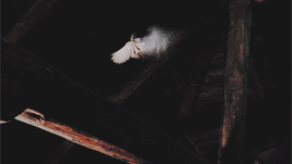 narcissamacaulays: Sarah Gadon as N I M U E from The Mists of Avalon How had Morgaine, or old Raven,