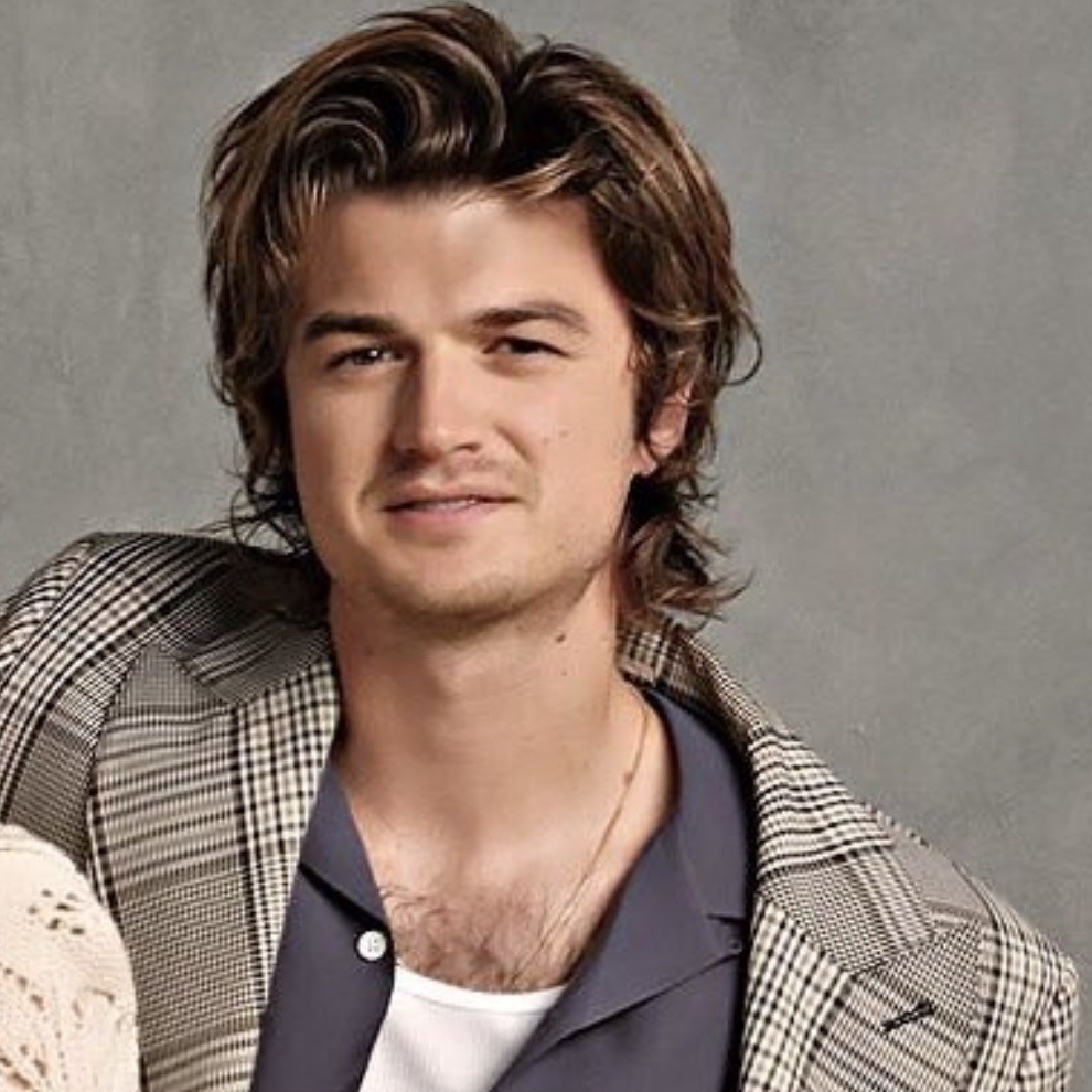 Steddie fanfic : r/joekeery